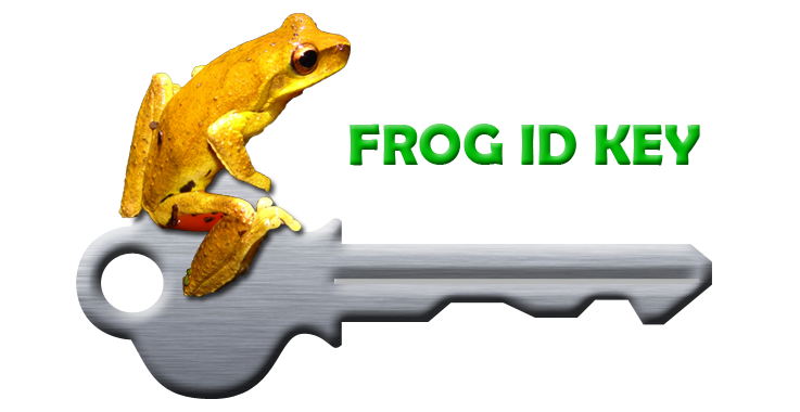 frog ID key, Sunshine Coast, Brisbane, Gold Coast, SE QLD
